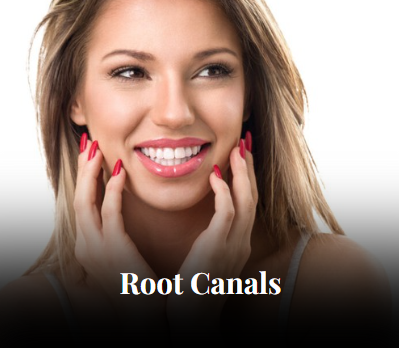 Root Canals